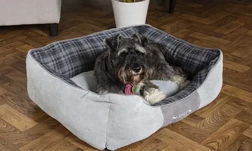 standard dog bed